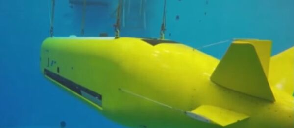 Echo Voyager Underwater Drone - Sputnik International
