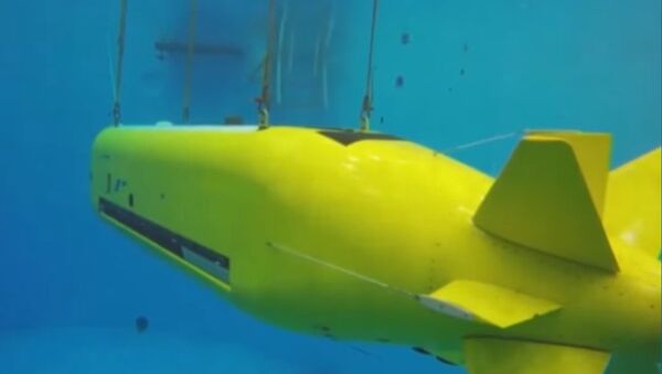 Echo Voyager Underwater Drone - Sputnik International