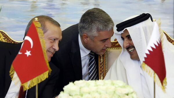 Turkey's President Recep Tayyip Erdogan, and Qatar's Emir Tamim bin Hamad Al Thani speak, with unidentified Turkish translator at centre, during a meeting in Doha, Qatar (File) - Sputnik International