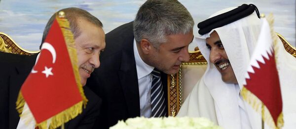 Turkey's President Recep Tayyip Erdogan, and Qatar's Emir Tamim bin Hamad Al Thani speak, with unidentified Turkish translator at centre, during a meeting in Doha, Qatar (File) - Sputnik International