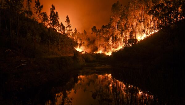 A wildfire is reflected in a stream at Penela, Coimbra, central Portugal - Sputnik International