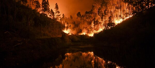 A wildfire is reflected in a stream at Penela, Coimbra, central Portugal A wildfire is reflected in a stream at Penela, Coimbra, central Portugal - Sputnik International