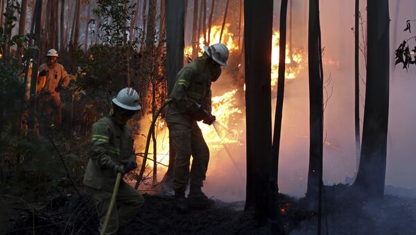 Firefighters of the Portuguese National Republican Guard work to stop a forest fire from reaching the village of Avelar, central Portugal, at sunrise - Sputnik International