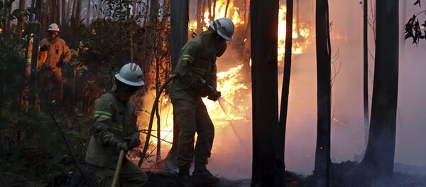 Firefighters of the Portuguese National Republican Guard work to stop a forest fire from reaching the village of Avelar, central Portugal, at sunrise Firefighters of the Portuguese National Republican Guard work to stop a forest fire from reaching the village of Avelar, central Portugal, at sunrise - Sputnik International