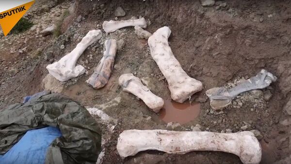 The Remains Of A Dinosaur Found By Spanish Paleontologists - Sputnik International