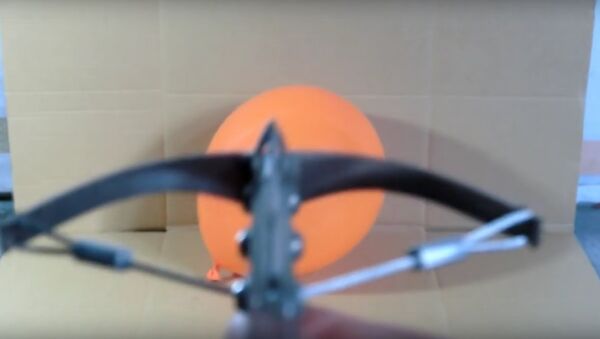 Mini Toothpick Crossbow + Steel Bolt - Sputnik International