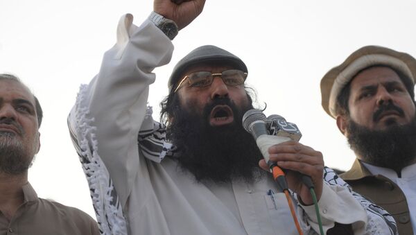 Syed Salahuddin, chairman of the 16-party United Jihad Council, who is also supreme commander of the hardline Hizbul Mujahedin group, addresses the demonstrators during a protest to mark Kashmir Solidarity day in Karachi on February 5, 2015. - Sputnik International