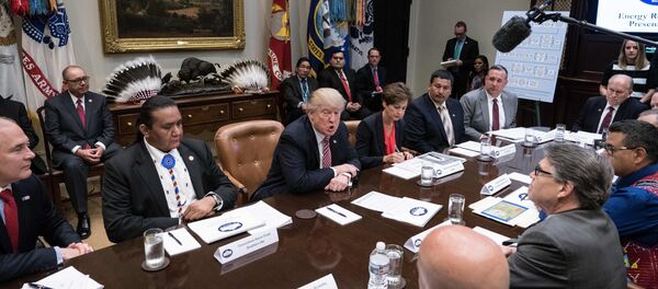US President Donald Trump speaks during a tribal, state, and local energy roundtable in the Roosevelt Room at the White House in Washington, DC, on June 28, 2017 US President Donald Trump speaks during a tribal, state, and local energy roundtable in the Roosevelt Room at the White House in Washington, DC, on June 28, 2017 - Sputnik International