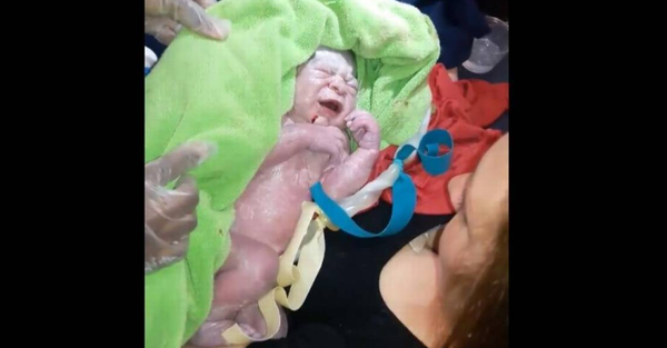 From video of baby in the arms of his mother after she gave birth on a Spirit Airlines flight From video of baby in the arms of his mother after she gave birth on a Spirit Airlines flight - Sputnik International