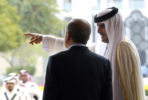 Emir of Qatar Sheikh Tamim bin Hamad Al-Thani, right, points as Turkey's President Recep Tayyip Erdogan looks on during a welcome ceremony in Doha, Qatar, Wednesday, Feb. 15, 2017 Emir of Qatar Sheikh Tamim bin Hamad Al-Thani, right, points as Turkey's President Recep Tayyip Erdogan looks on during a welcome ceremony in Doha, Qatar, Wednesday, Feb. 15, 2017 - Sputnik International