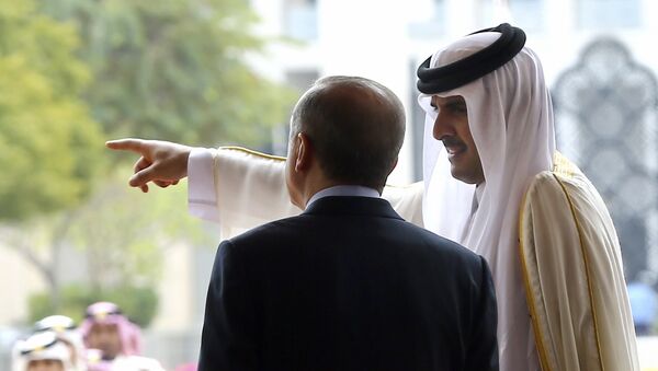 Emir of Qatar Sheikh Tamim bin Hamad Al-Thani, right, points as Turkey's President Recep Tayyip Erdogan looks on during a welcome ceremony in Doha, Qatar, Wednesday, Feb. 15, 2017 - Sputnik International