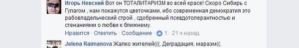 Facebook comment screenshot Facebook comment screenshot - Sputnik International