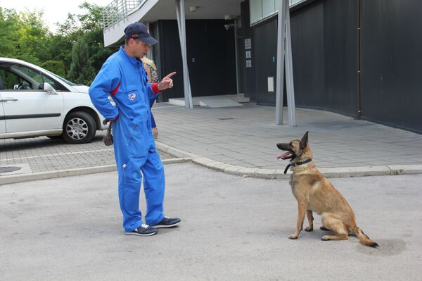 Alpa Alpa - Sputnik International