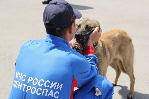 Alpa Alpa - Sputnik International