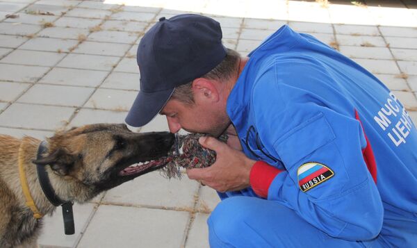 Alpa Alpa - Sputnik International