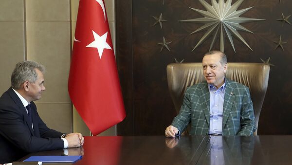 Turkey's President Recep Tayyip Erdogan, right, meets with Russia's Defence Minister Sergei Shoigu, left, in Istanbul - Sputnik International