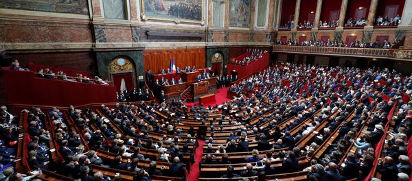 French President Emmanuel Macron delivers a speech during a special congress gathering both houses of parliament (National Assembly and Senate) at the Versailles Palace, near Paris, France, July 3, 2017. French President Emmanuel Macron delivers a speech during a special congress gathering both houses of parliament (National Assembly and Senate) at the Versailles Palace, near Paris, France, July 3, 2017. - Sputnik International