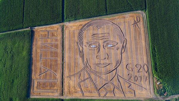 Giant portrait of Russian President Vladimir Putin appeared in a field in Castagnaro, near the northern Italian city of Verona - Sputnik International