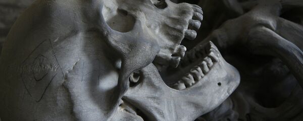 Skull - Sputnik International