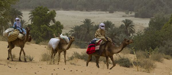 Men on camelback transport goods from a town as they return towards Barrah, a desert village in the Sahel belt of Chad, Friday, April 20, 2012 - Sputnik International