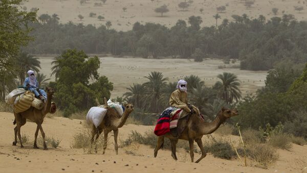 Men on camelback transport goods from a town as they return towards Barrah, a desert village in the Sahel belt of Chad, Friday, April 20, 2012 - Sputnik International