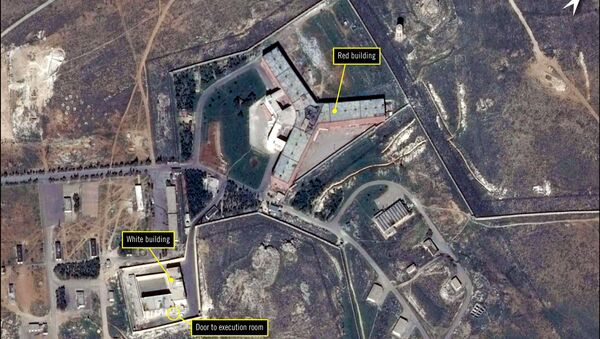A handout satellite image released by The French national Space study centre (CNES) and the ASTRIUM, the aerospace maufacture subsiduary of the European Aeronautic Defence and Space Company (EADS) and received from Amnesty International on February 7, 2017 by shows the military-run Saydnaya prison, one of Syria's largest detention centres located 30 kilometres (18 miles) north of Damascus. - Sputnik International