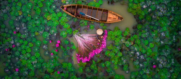 Hey Down There! Highlights of the International Drone Photography Contest 2017 - Sputnik International