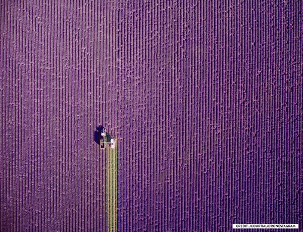 Hey Down There! Highlights of the International Drone Photography Contest 2017 - Sputnik International