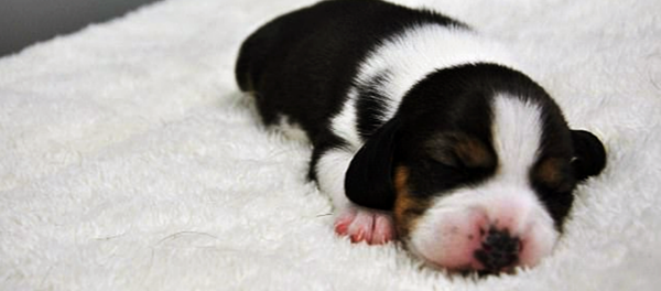 Long Long Long Long - Sputnik International