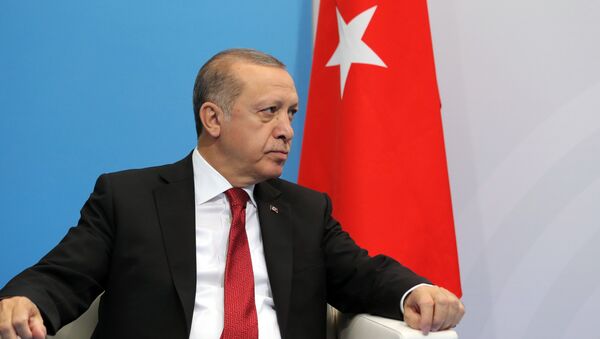 President of Turkey Recep Tayyip Erdogan during a meeting with Russian President Vladimir Putin on the sidelines of the G20 summit in Hamburg - Sputnik International