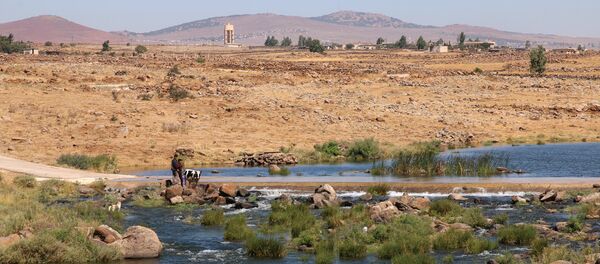 Syrian farmers clean a cow at Raqqad river in Quneitra, Syria July 8,2017 Syrian farmers clean a cow at Raqqad river in Quneitra, Syria July 8,2017 - Sputnik International