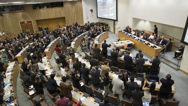 Delegates give a standing ovation after a vote by the conference to adopt a legally binding instrument to prohibit nuclear weapons, leading towards their total elimination, Friday, July 7, 2017 at United Nations headquarters - Sputnik International