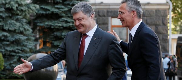 Ukrainian President Petro Poroshenko and NATO Secretary General Jens Stoltenberg walk before a meeting in Kiev, Ukraine, July 10, 2017. Ukrainian President Petro Poroshenko and NATO Secretary General Jens Stoltenberg walk before a meeting in Kiev, Ukraine, July 10, 2017. - Sputnik International