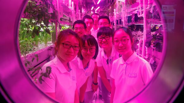 Volunteers smile from inside a simulated space cabin in which they temporarily live as a part of the scientistic Lunar Palace 365 Project, at Beihang University in Beijing, China July 9, 2017. - Sputnik International