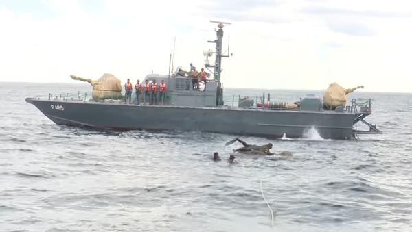 Navy rescues an elephant at sea - Sputnik International