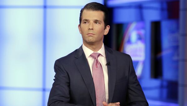In this July 11, 2017, photo, Donald Trump Jr. is interviewed by host Sean Hannity on the Fox News Channel television program - Sputnik International