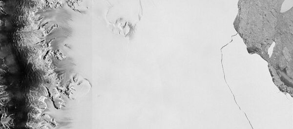 A section of an iceberg – about 6,000 sq km – broke away as part of the natural cycle of iceberg calving off the Larsen-C ice shelf in Antarctica in this satellite image released by the European Space Agency on July 12, 2017. - Sputnik International