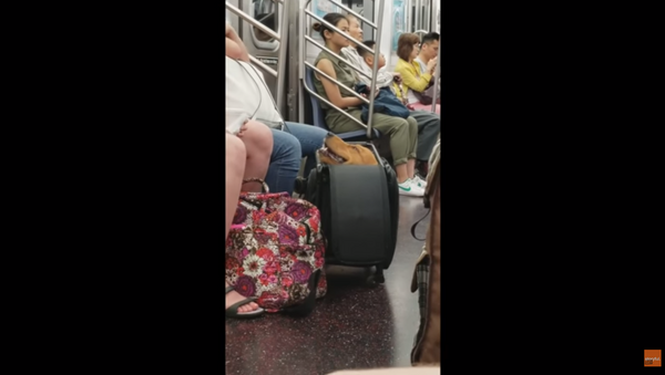 Commuter Catches Grinning Doggo Riding NY Subway in Suitcase - Sputnik International