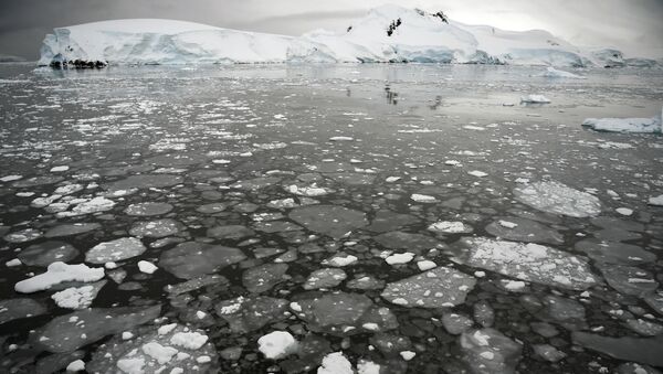 Ледяные поплавки на поверхности моря у Антарктического полуострова - Sputnik International