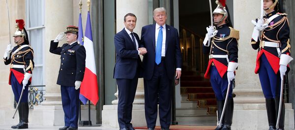 French President Emmanuel Macron greets U.S. President Donald Trump at the Elysee Palace in Paris, France, July 13, 2017. French President Emmanuel Macron greets U.S. President Donald Trump at the Elysee Palace in Paris, France, July 13, 2017. - Sputnik International