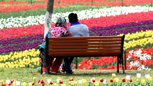 An Indian Kashmiri couple sits on a bench at a Tulip Garden, claimed to be Asia's largest, in Srinagar on April 1, 2017 - Sputnik International