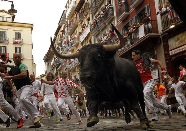 Running With the Bulls in Pamplona: The Festival of San Fermin - Sputnik International