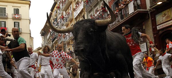 Running With the Bulls in Pamplona: The Festival of San Fermin Running With the Bulls in Pamplona: The Festival of San Fermin - Sputnik International