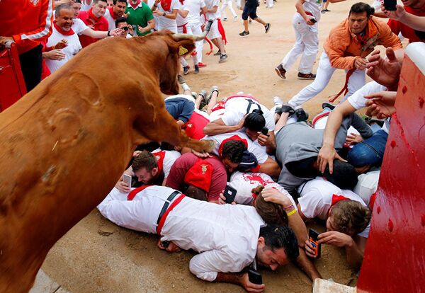 Bullfighting Fiesta: The Festival of San Fermin - Sputnik International