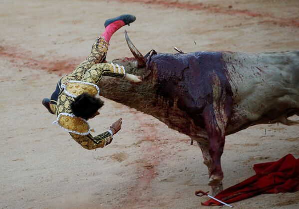Bullfighting Fiesta: The Festival of San Fermin - Sputnik International