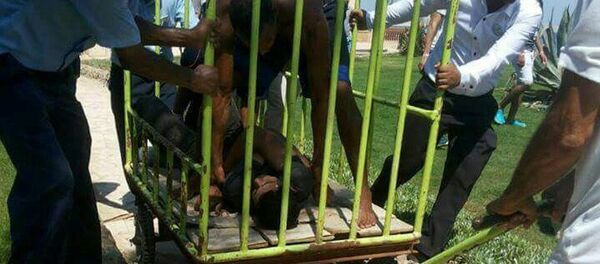 Workers and security detain the man who stabbed two German tourists to death and wounded four others during an attack of the Zahabia hotel resort in Hurghada, south of the capital Cairo, Egypt, July 14, 2017 Workers and security detain the man who stabbed two German tourists to death and wounded four others during an attack of the Zahabia hotel resort in Hurghada, south of the capital Cairo, Egypt, July 14, 2017 - Sputnik International