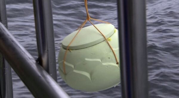 In this image taken from video provided by the Shenyang Municipal Information Office, an urn containing the ashes of imprisoned Chinese Nobel Peace Prize laureate Liu Xiaobo is lowered into the sea off the coast of Dalian in northeastern China's Liaoning Province, Saturday, July 15, 2017 In this image taken from video provided by the Shenyang Municipal Information Office, an urn containing the ashes of imprisoned Chinese Nobel Peace Prize laureate Liu Xiaobo is lowered into the sea off the coast of Dalian in northeastern China's Liaoning Province, Saturday, July 15, 2017 - Sputnik International