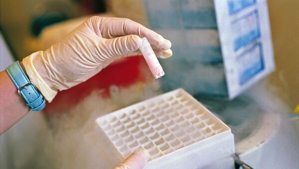 A sample of embrionic stem cells is taken out of liquid nitrogen in a laboratory in Geneva, Switzerland, in this Aug. 29, 2002 file photo - Sputnik International