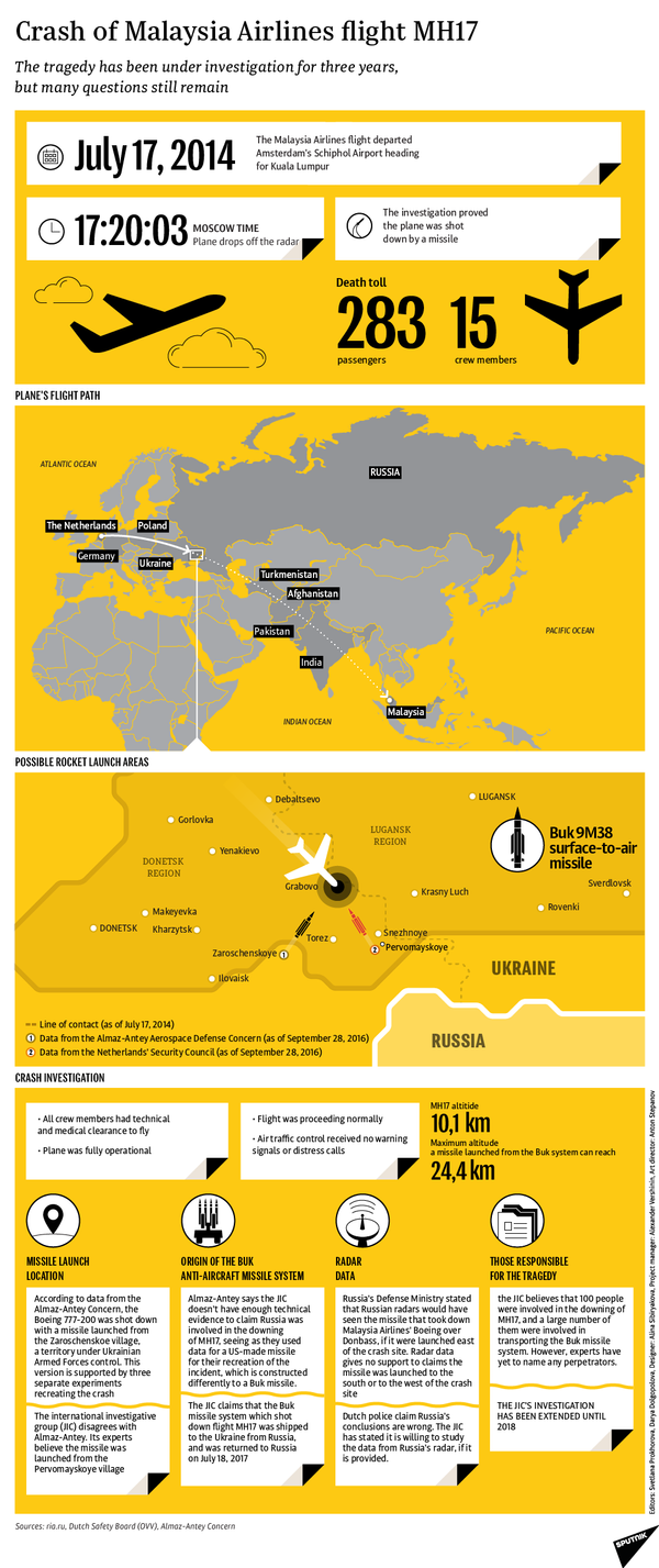 Malaysia Airlines MH17 Crash Malaysia Airlines MH17 Crash - Sputnik International