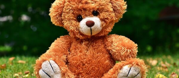 Teddy Bear - Sputnik International